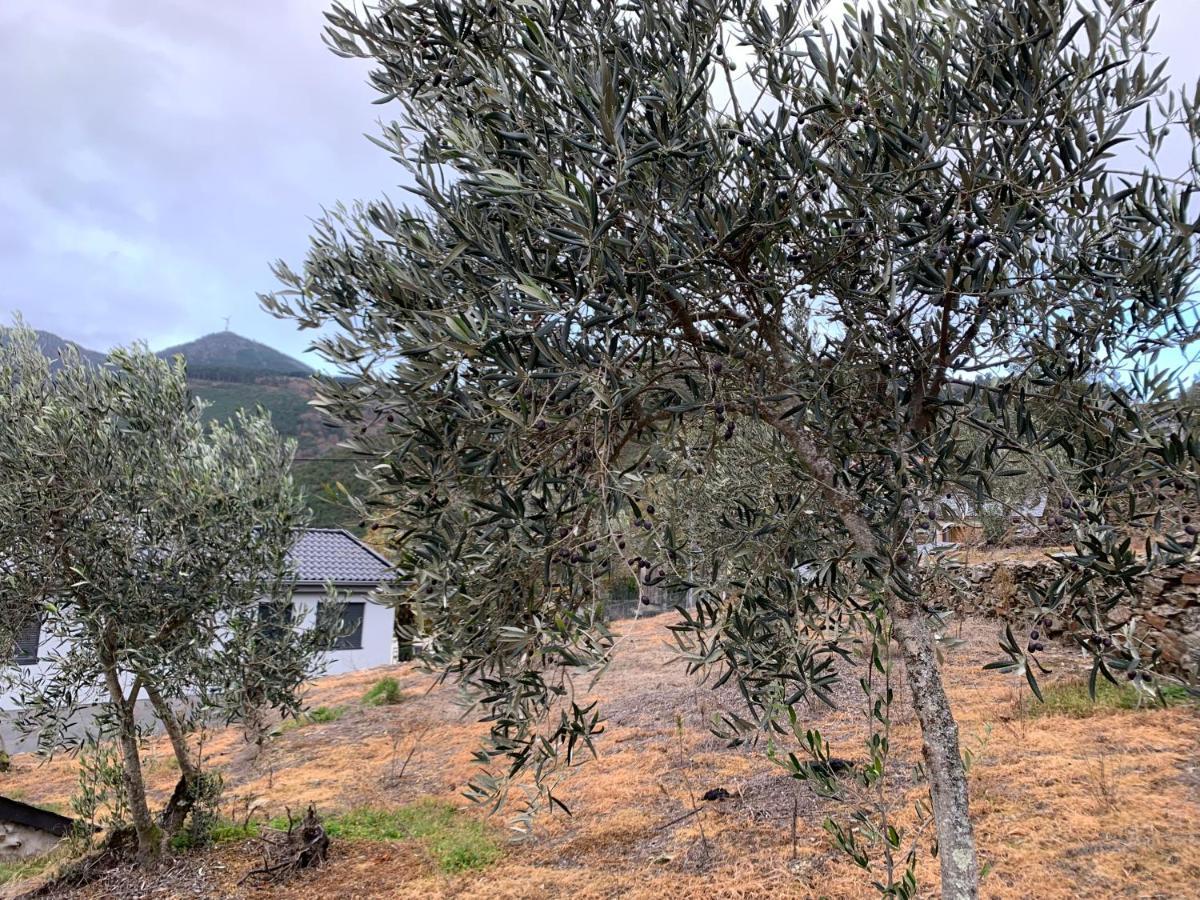 فيلا Casa Do Julien Mountain Experience فيلا ريال المظهر الخارجي الصورة